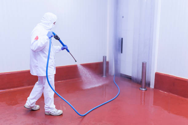 Best Spring Cleaning  in Plainsboro Center, NJ